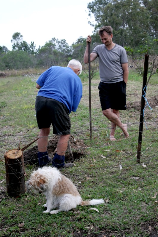 Gregory digging post holes with his dad