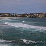 I never appreciated the beauty of La Jolla growing up, but I can see the appeal of it after visiting Bondi Beach.