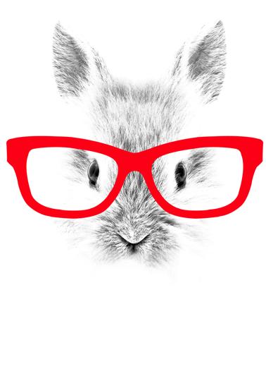 What will 2011 Be like... Mr Rabbit